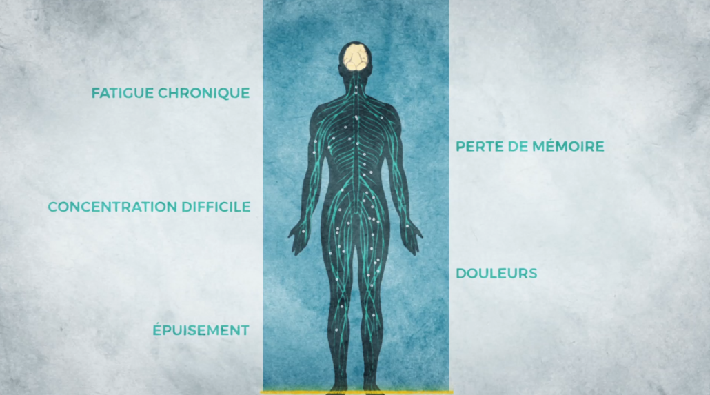 infographie