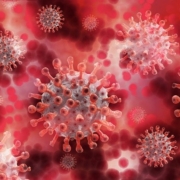 coronavirus-g5bf9a1c61_640.jpg