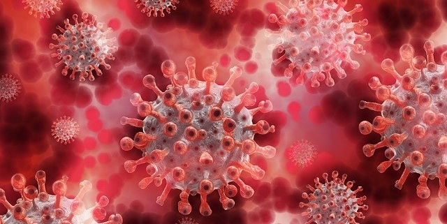 coronavirus-g5bf9a1c61_640.jpg